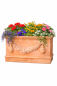 Preview: Klassischer, rustikaler Terracotta-Blumenkasten aus Impruneta